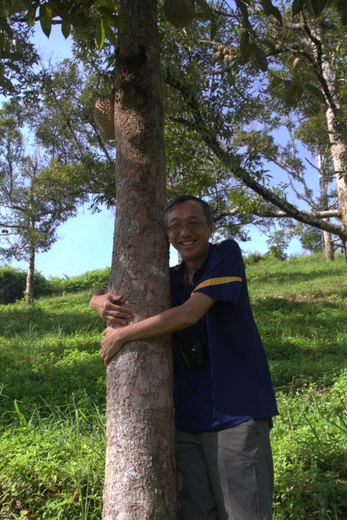 A durian lover hugging a durian tree