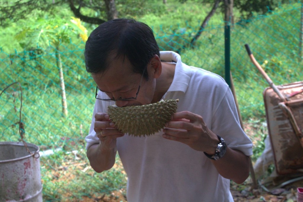 Drinking water from a durian husk