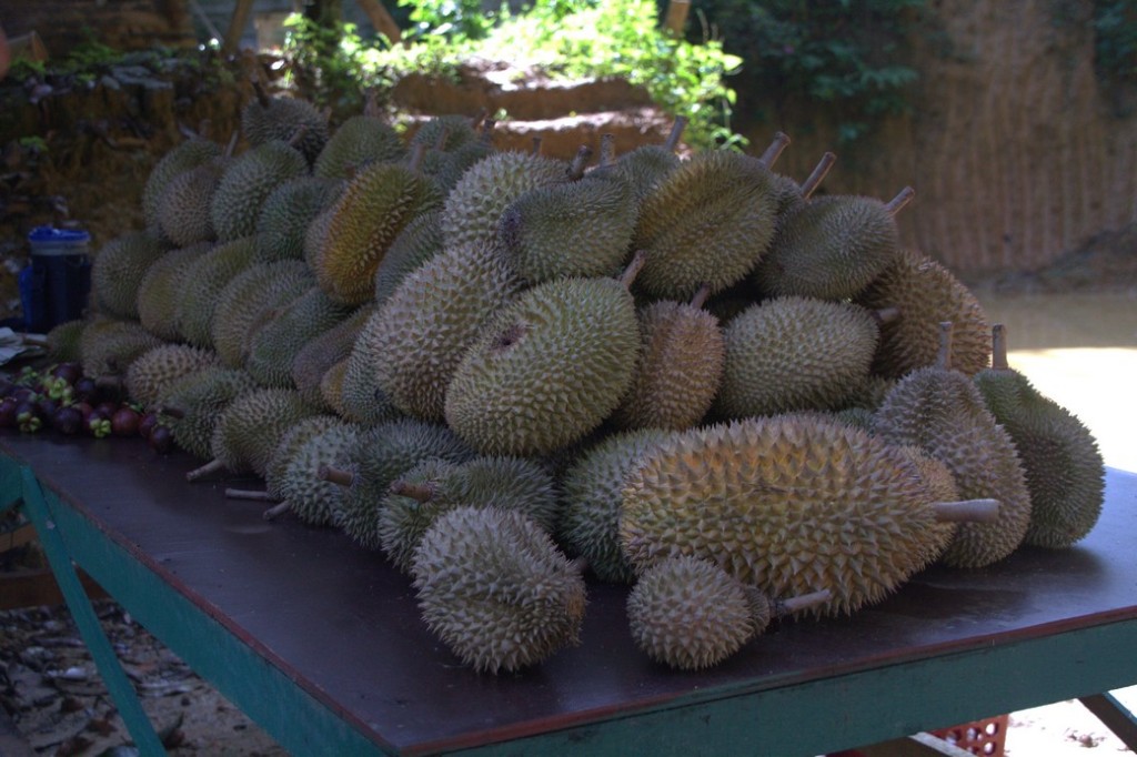 Durians and mongosteens welcoming the guests