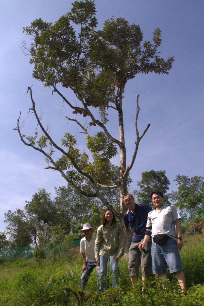 Group photo at the peak of the orchard